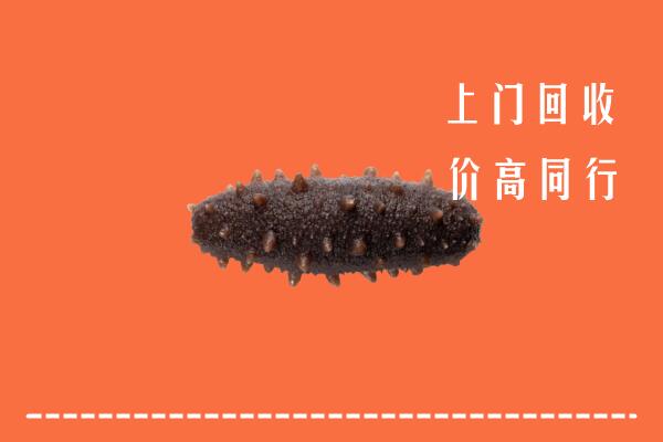 太白县回收海参